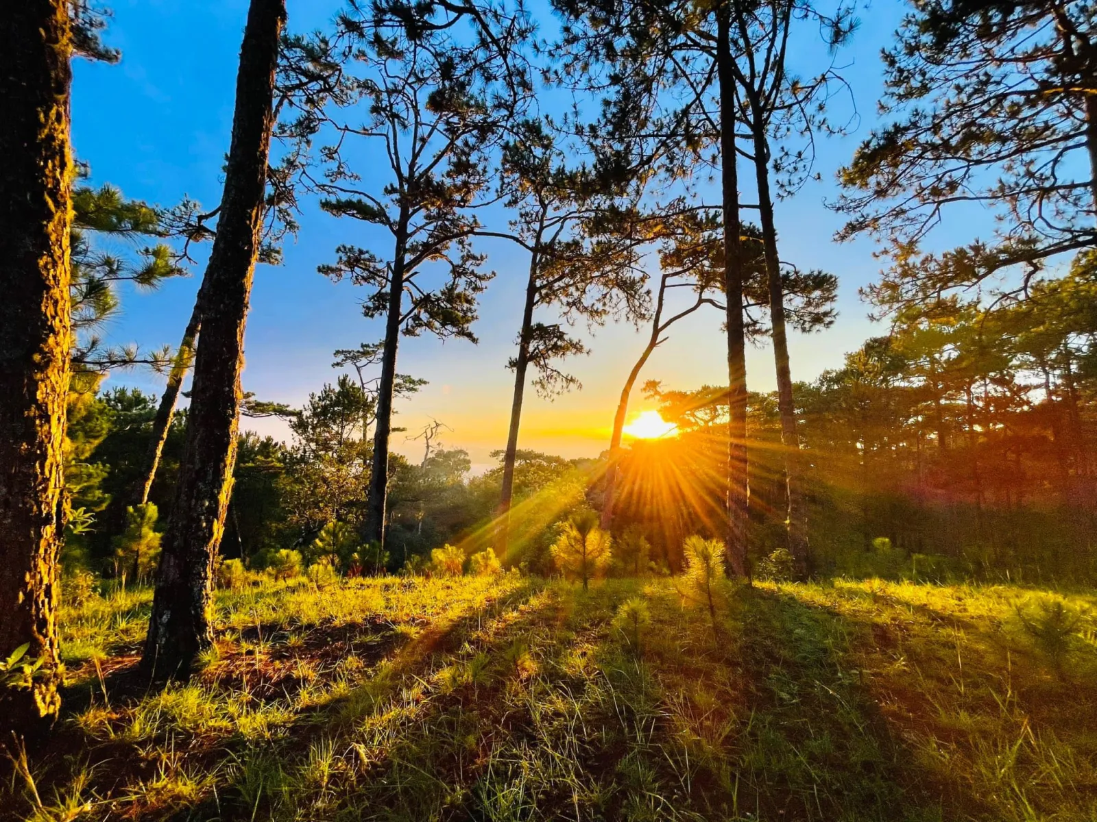 Lâm Dông : le parc national de Bidoup-Nui Ba reconnu site touristique